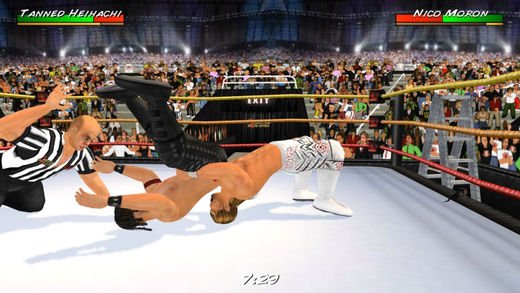 wrestling spirit 3 cheats