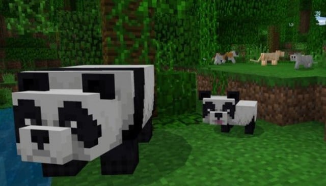 New Minecraft Update Adds Pandas and Cats
