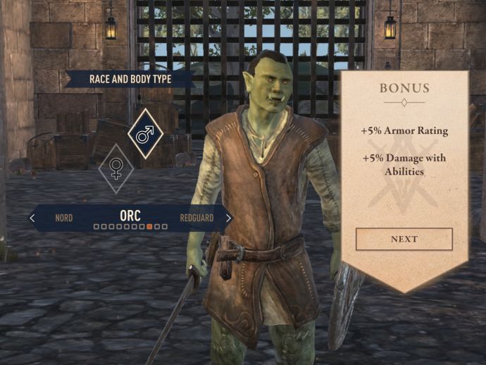 Elder Scrolls Blades Best Class / Race in the Game & Guide to Classes
