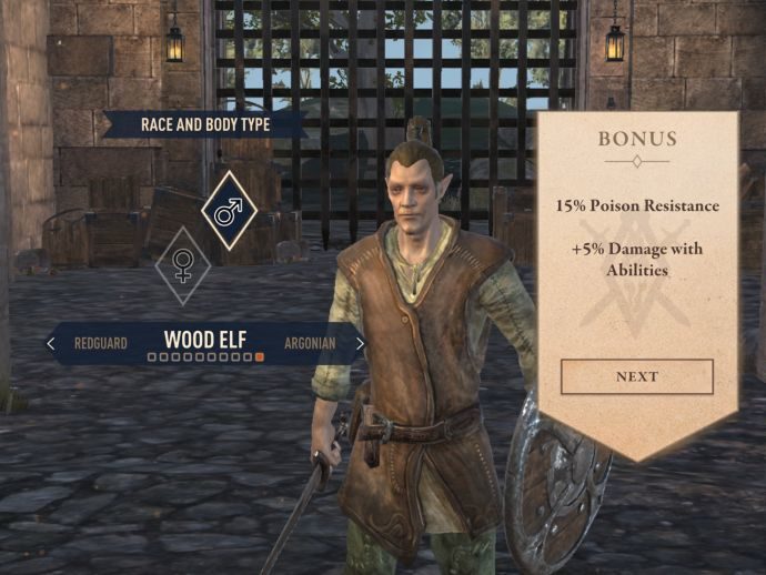 Elder Scrolls Blades Best Class / Race in the Game & Guide to Classes