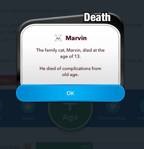 BitLife Pets Guide Everything You Need to Know about Your Furry