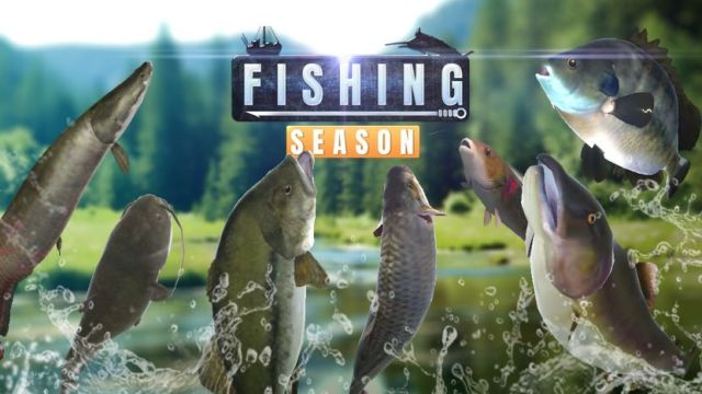 Fishing Season Guide: Tips & Tricks To Catching Lots of Fish