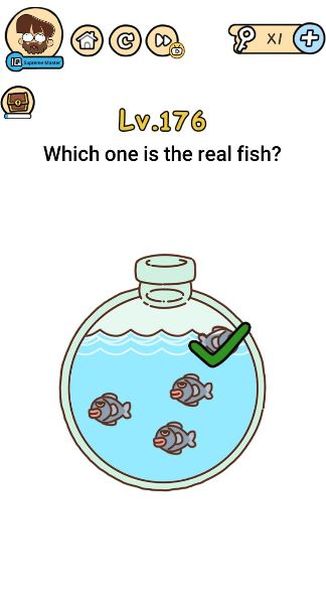 brain boom answers 45