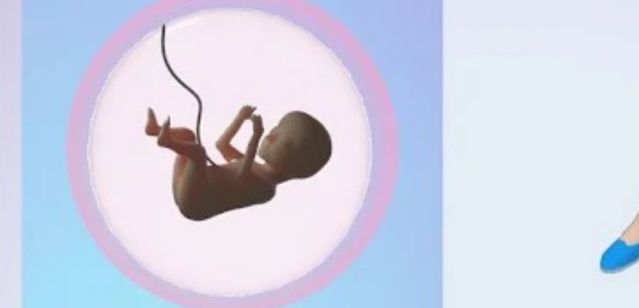 Pregnancy Idle 3D Simulator Guide: Tips & Cheats To Growing Healthy Babies