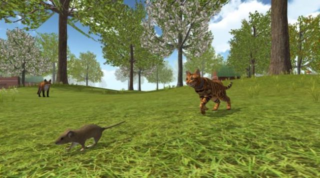 cat simulator 2020 2