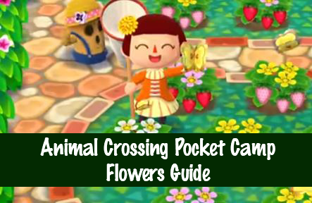 Animal Crossing Pocket Camp Flowers Guide