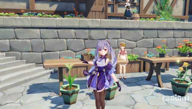 Genshin Impact Flora and Keqing