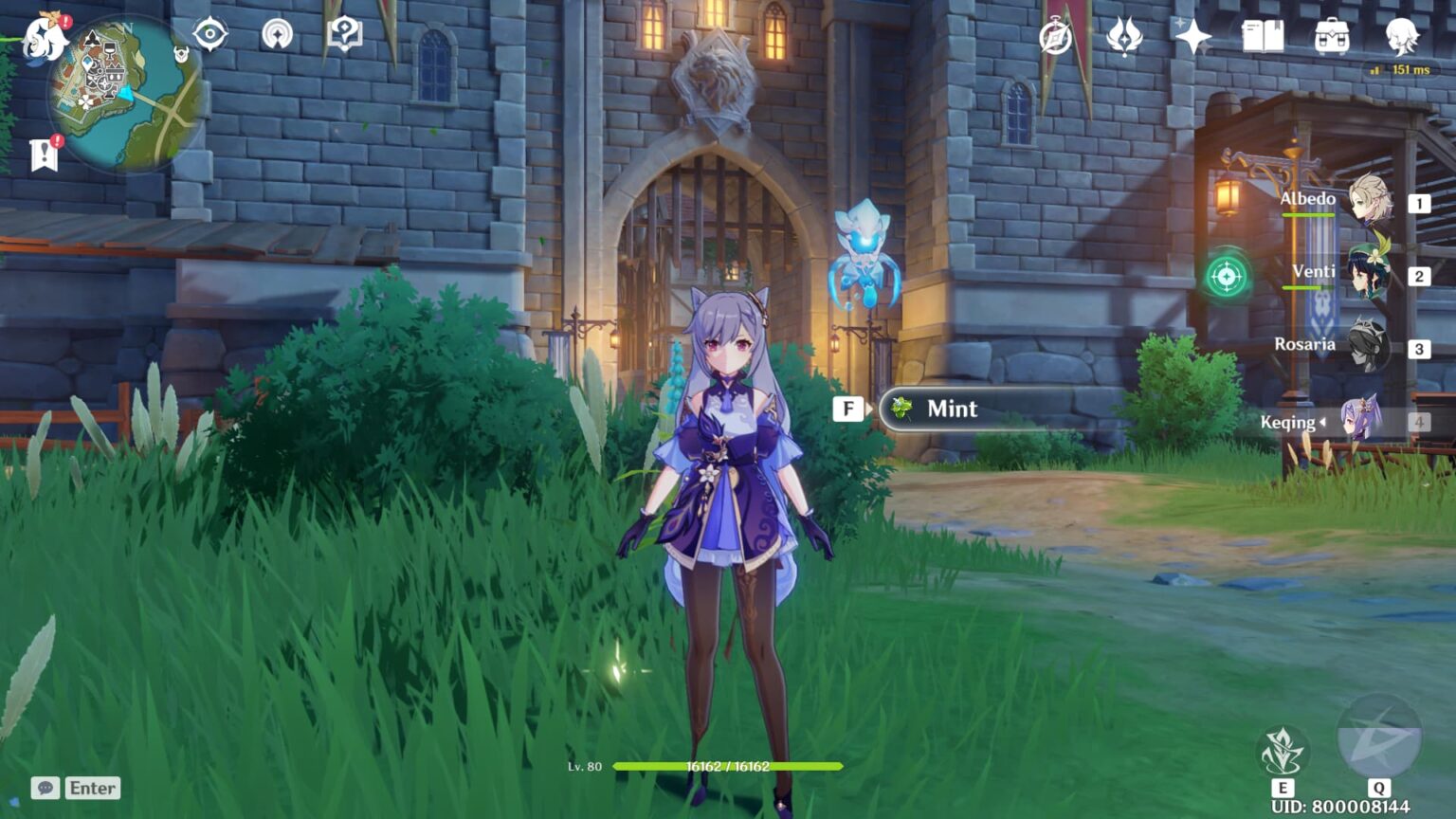 Genshin Impact Mint, Raw Meat and Carrot Location Marvelous