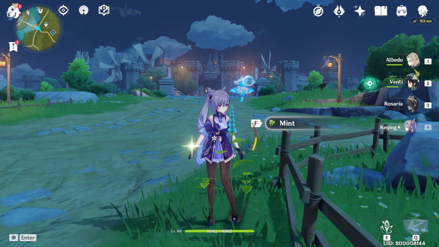 Genshin Impact Mint, Raw Meat and Carrot Location Marvelous