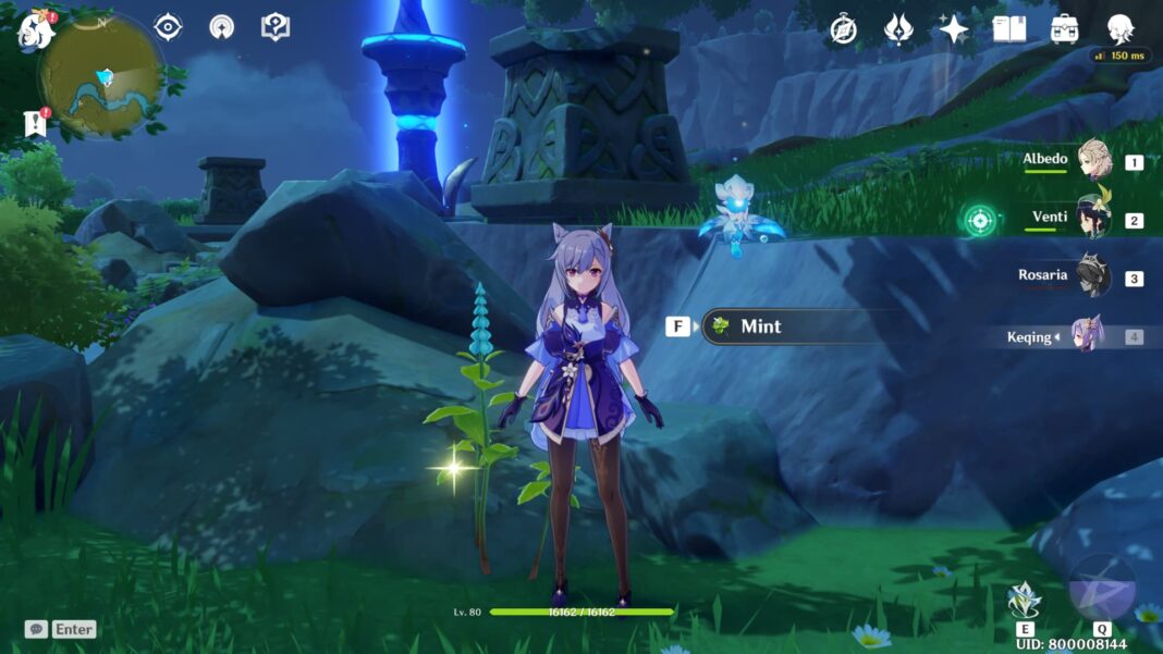 Genshin Impact Mint, Raw Meat and Carrot Location Marvelous