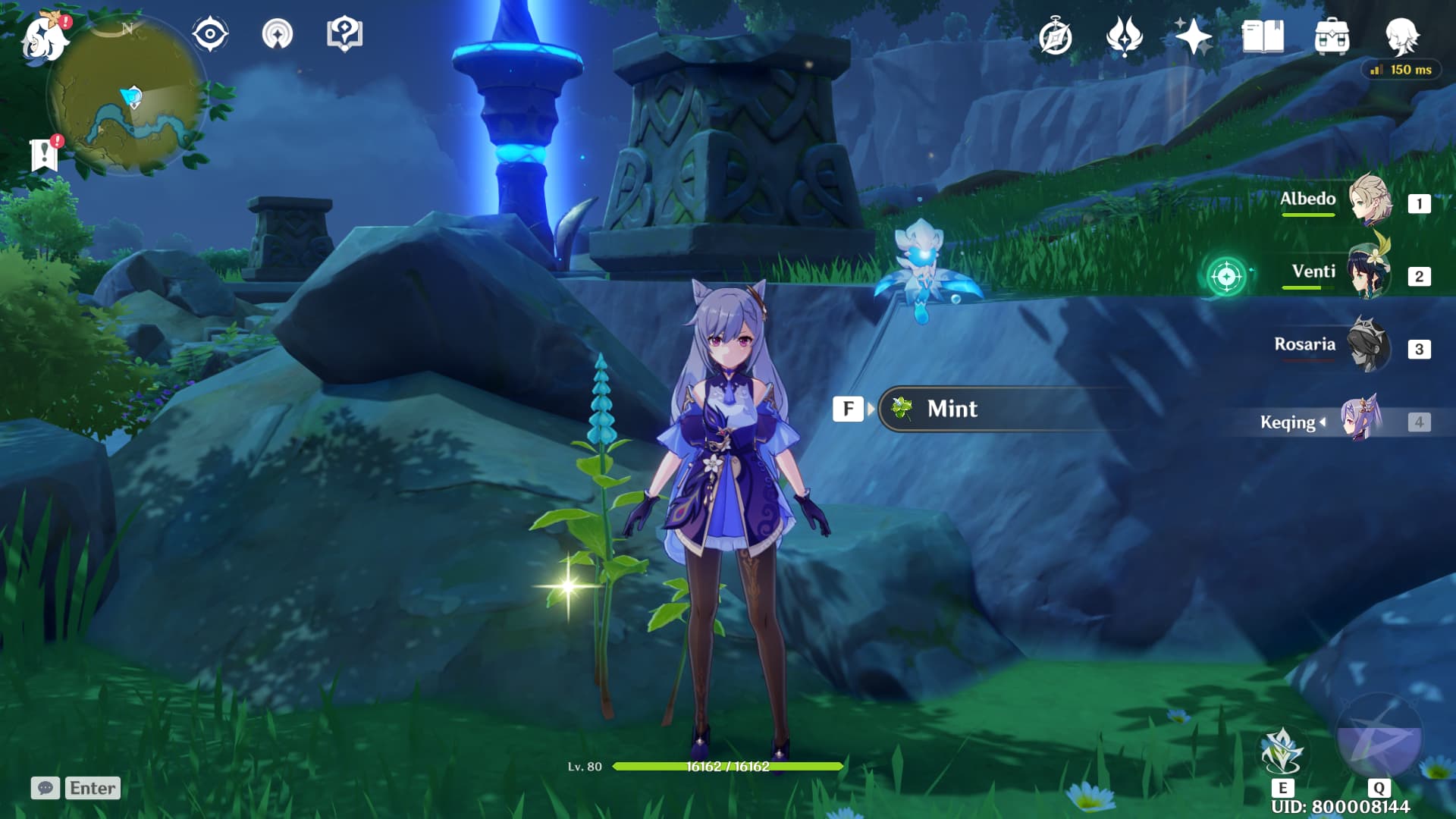 Genshin Impact Mint, Raw Meat and Carrot Location Marvelous