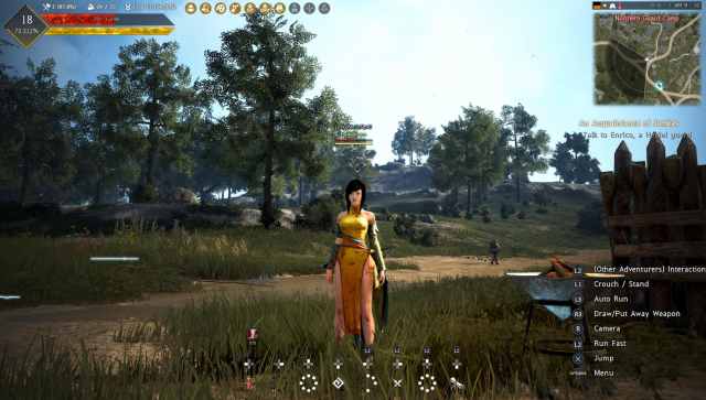 Black Desert Online (1)