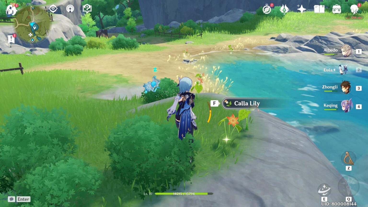 Where to find or buy Calla Lily in Genshin Impact Touch, Tap, Play