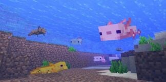 axolotls minecraft guide