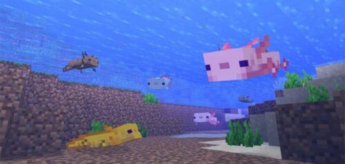 What Do Axolotls Eat In Minecraft Touch Tap Play