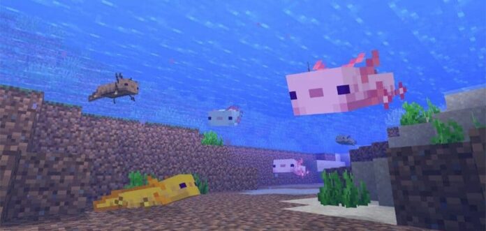 What do Axolotls Eat in Minecraft | Touch, Tap, Play
