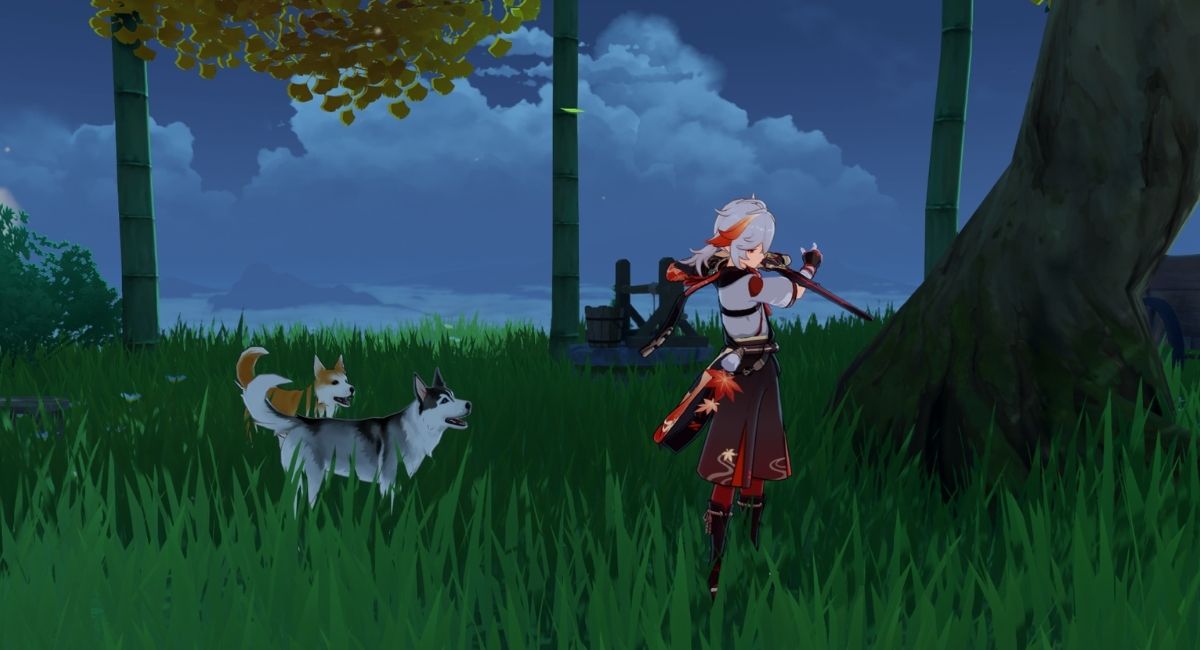 Genshin Impact Housing