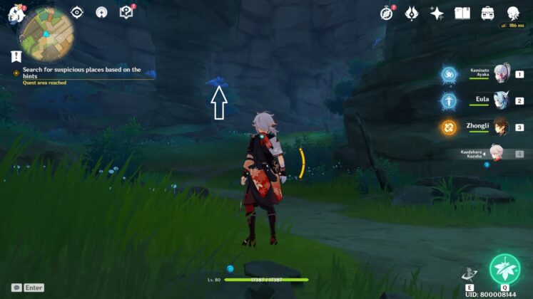 Игра прохождение похожее на геншин. Клан камисато геншин. Исследуйте кустарник на каменной стене. Исследуйте кустарник на каменной стене. Белый журавль квест геншин.