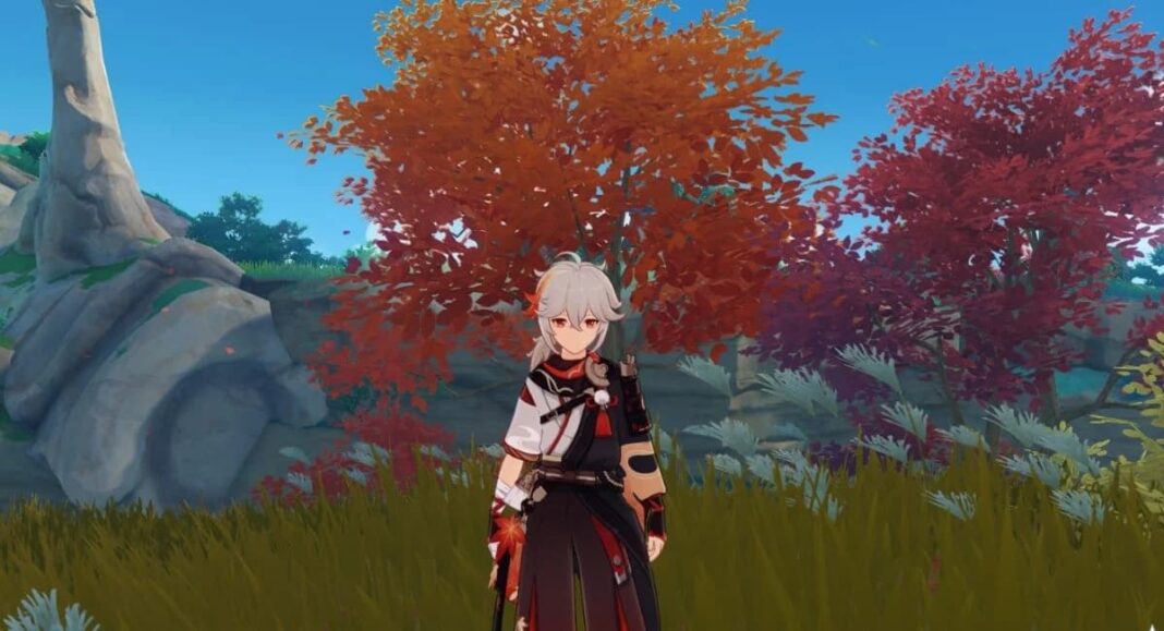 Where to Find Maple Wood in Genshin Impact Touch, Tap, Play