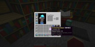Minecraft: What Does the Respiration Enchantment Do?