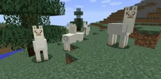 What Do Llamas Eat in Minecraft?
