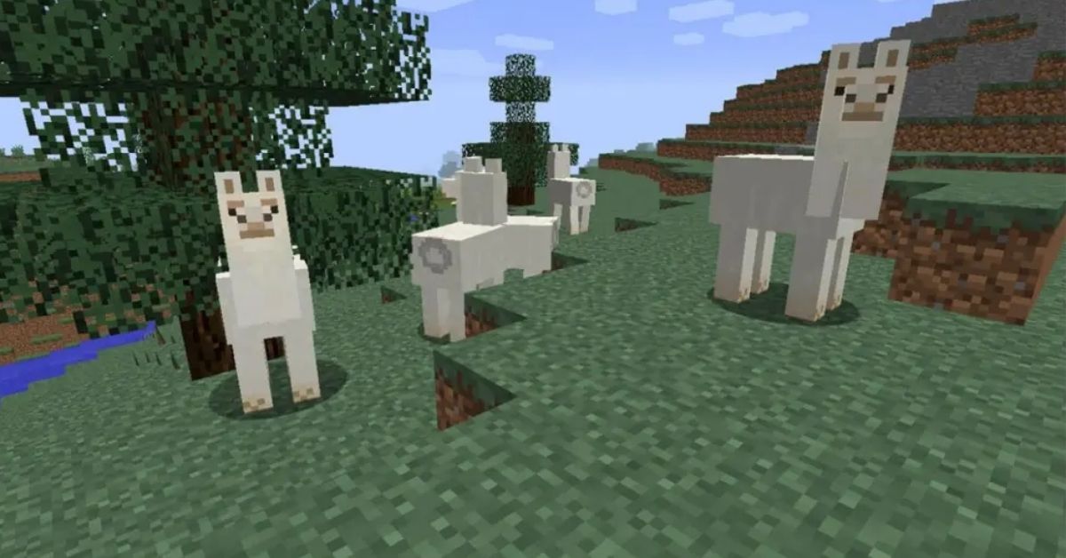 What Do Llamas Eat in Minecraft?