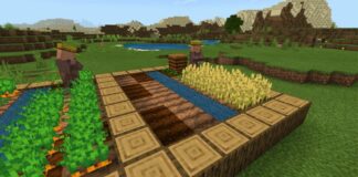 How to Build a Vegetable Farm in Minecraft