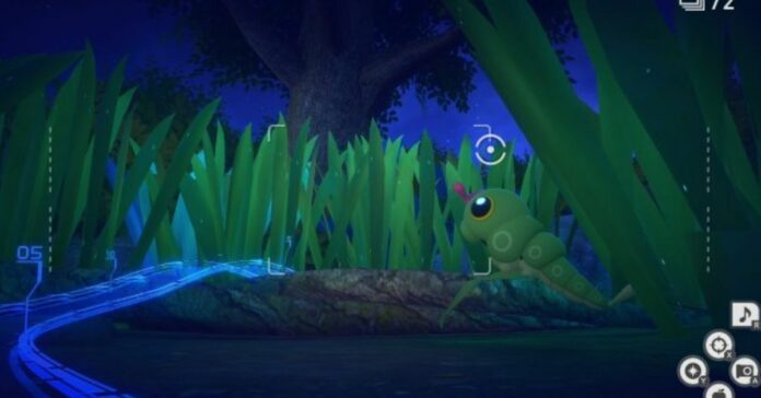 New Pokemon Snap: Side Path (Night) guide