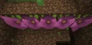 How to Find and Collect Spore Blossoms in Minecraft