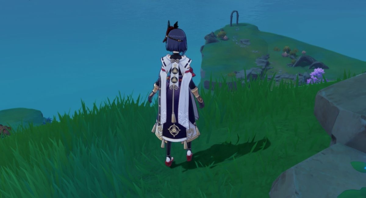 Genshin Impact Preleminary Investigation