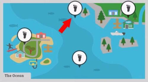 Related Where To Find Mushrooms In Sneaky Sasquatch