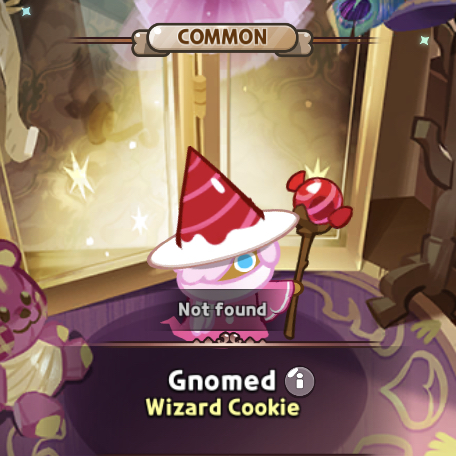 gnomed wizard cookie costume