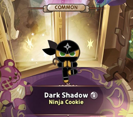 dark shadow ninja cookie costume