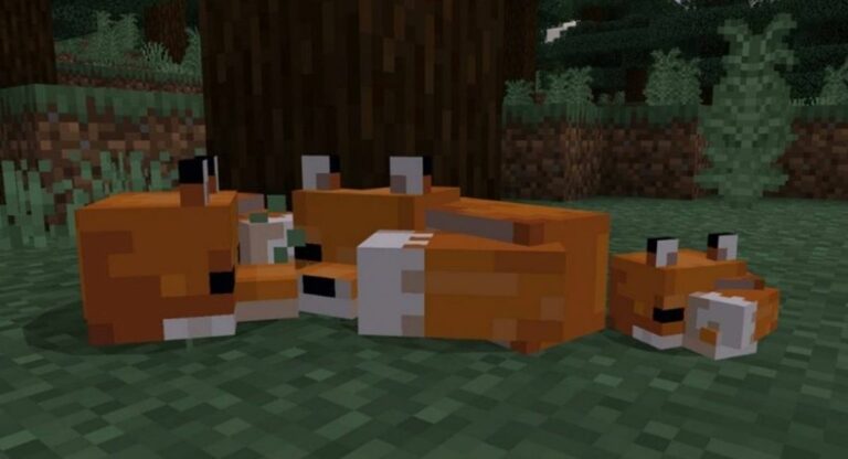 How to Breed Foxes in Minecraft - Touch, Tap, Play