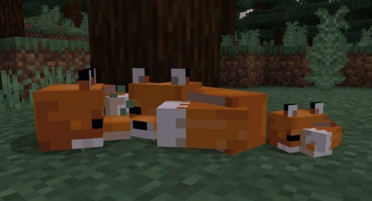 Minecraft Foxes