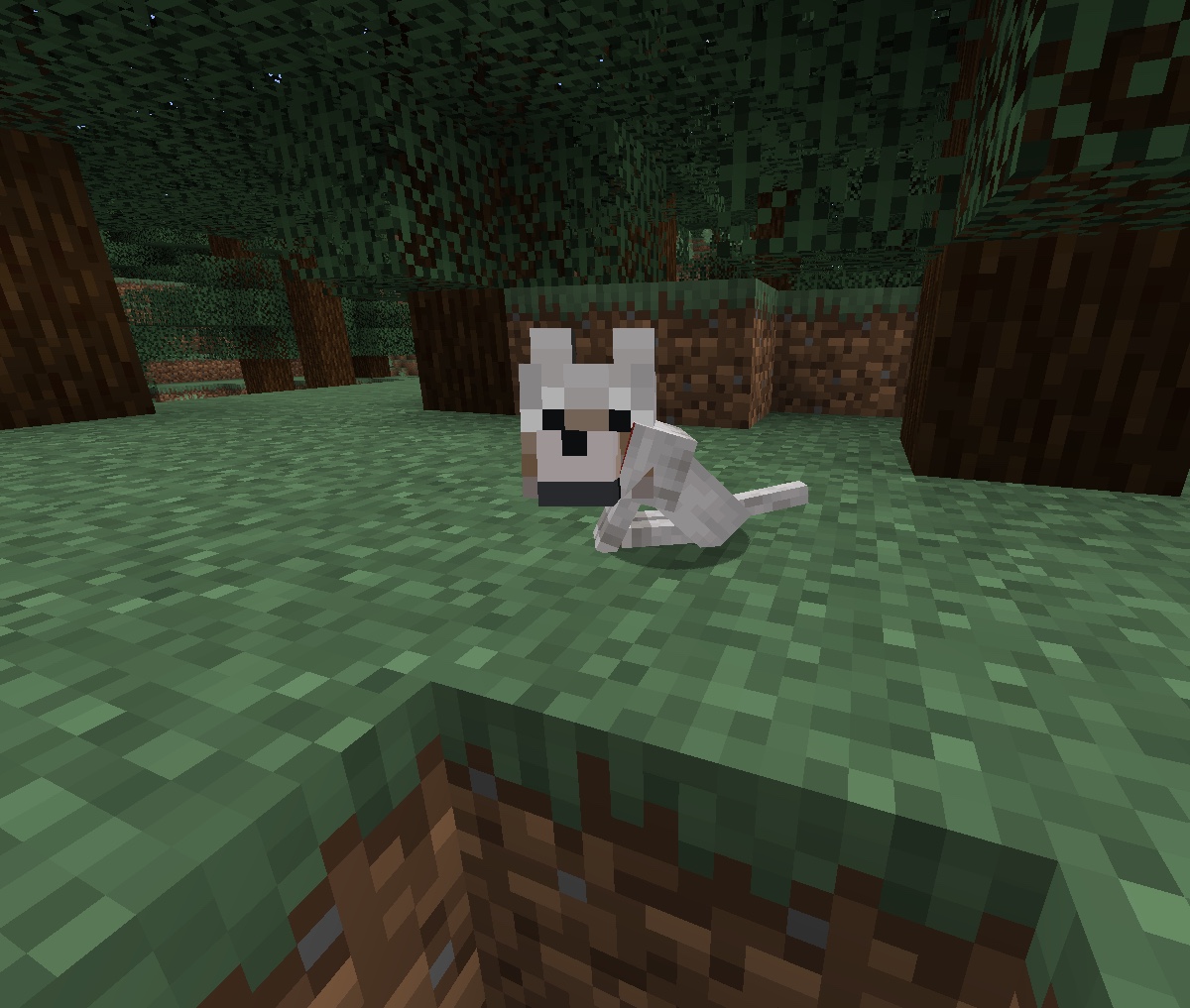 a baby wolf in minecraft