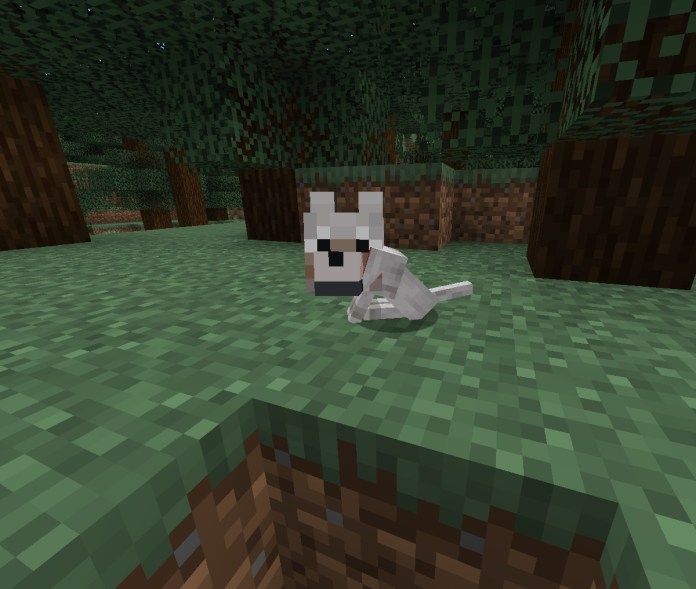 How To Breed Wolves In Minecraft Touch, Tap, Play