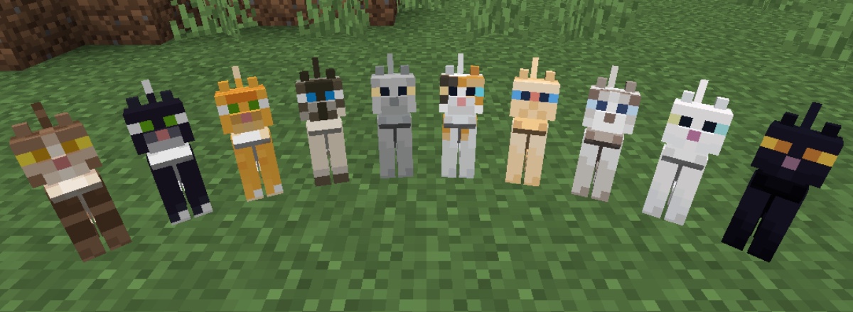 cats lined up in minecraft