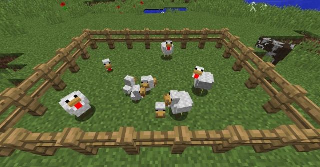 How to Breed Chickens in Minecraft