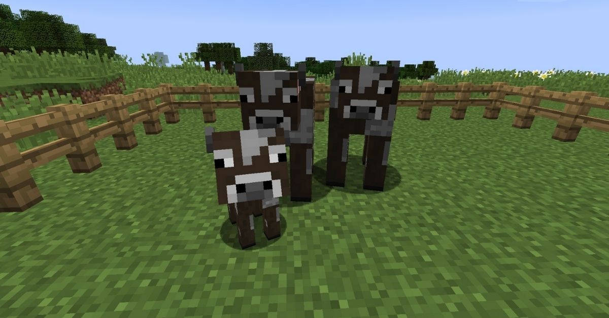 How to Breed Cows in Minecraft