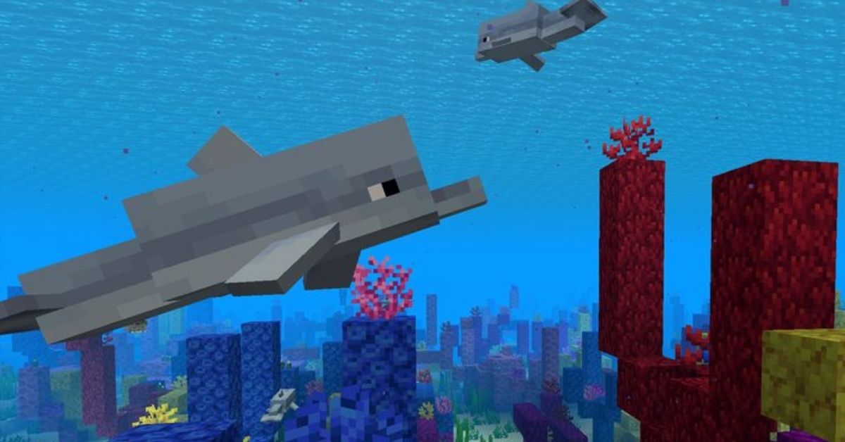 What Do Dolphins Eat in Minecraft? Answered