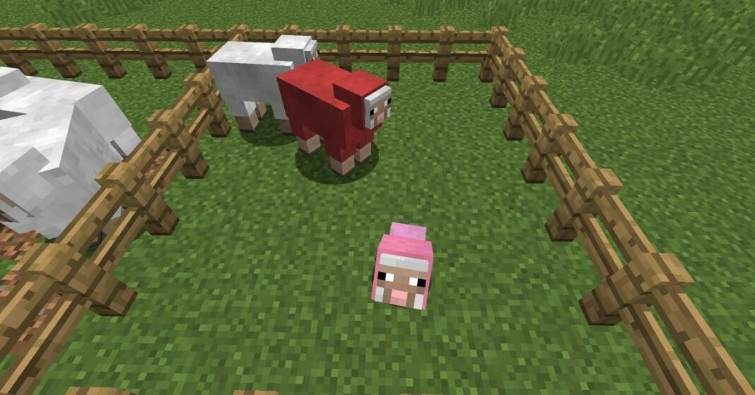 How to Breed Sheep in Minecraft