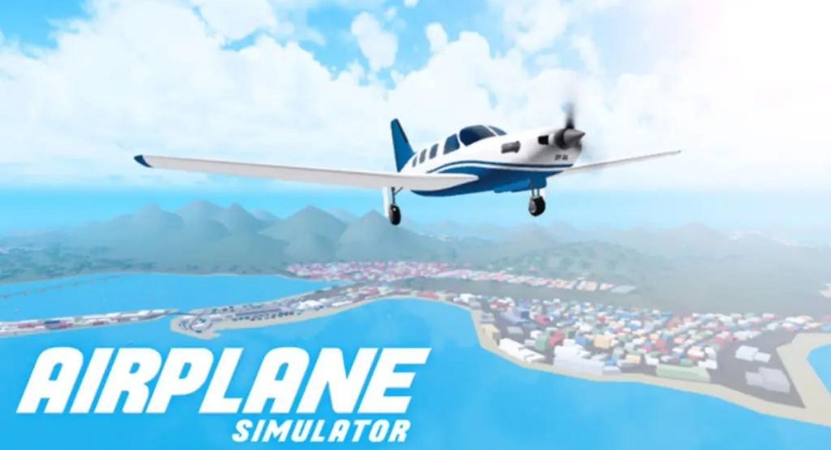 Airplane Simulator Codes