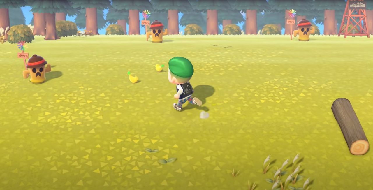 Animal Crossing: New Horizons