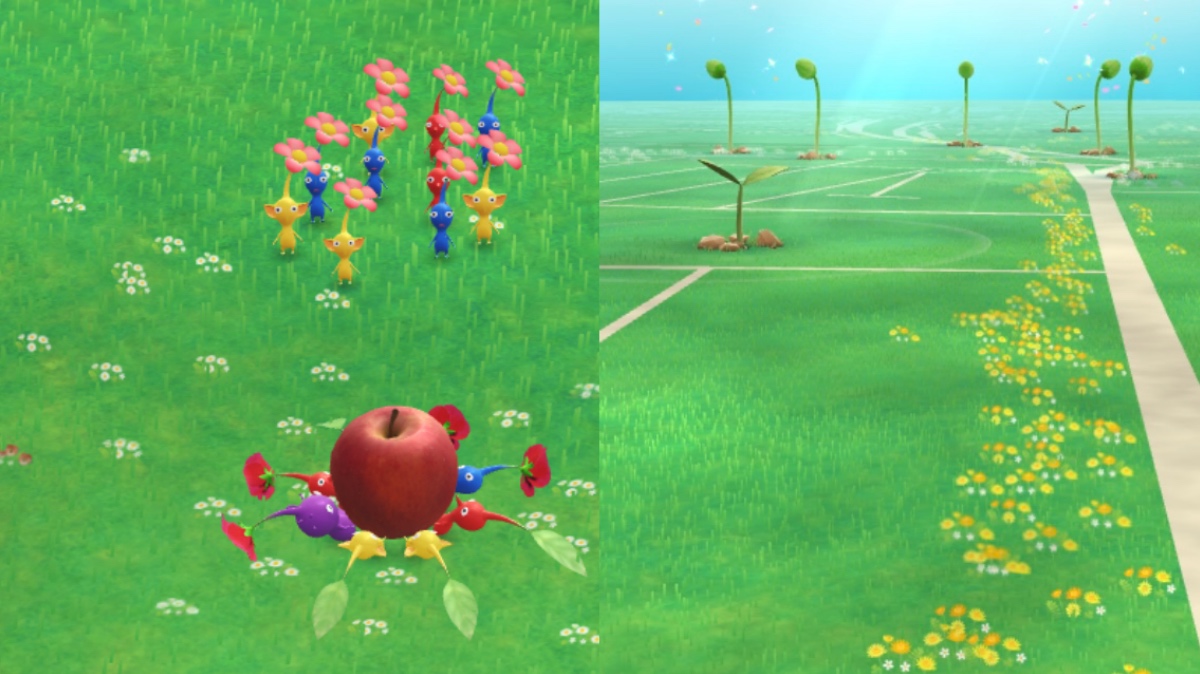 How to Bloom a Special Big Flower in Pikmin Bloom Touch, Tap, Play