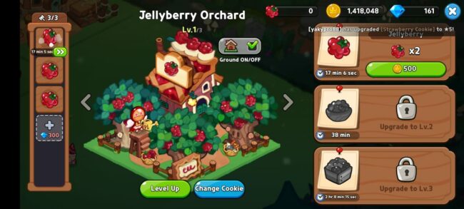 jellyberry orchard