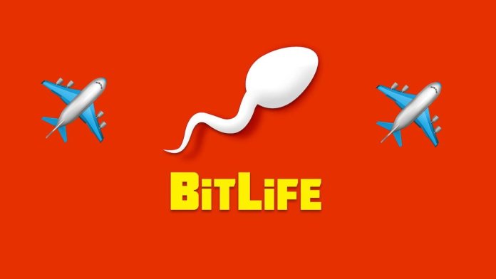 All Pilot Test Answers in Bitlife