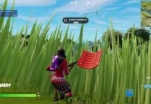 Hide in Stealth Grass for 10 Seconds - Fortnite Week 4 challenge