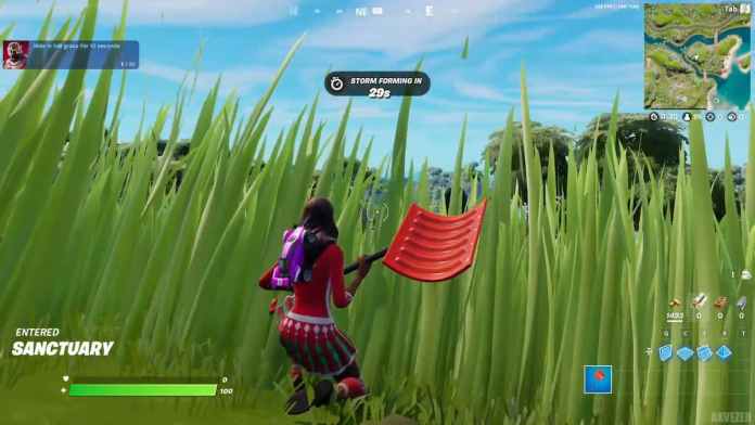 Hide in Stealth Grass for 10 Seconds - Fortnite Week 4 challenge