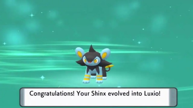 Pokemon-diamond-and-shining-pearl-luxio1